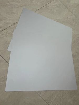 Printing Excellence with White Processless CTP Printing Plates